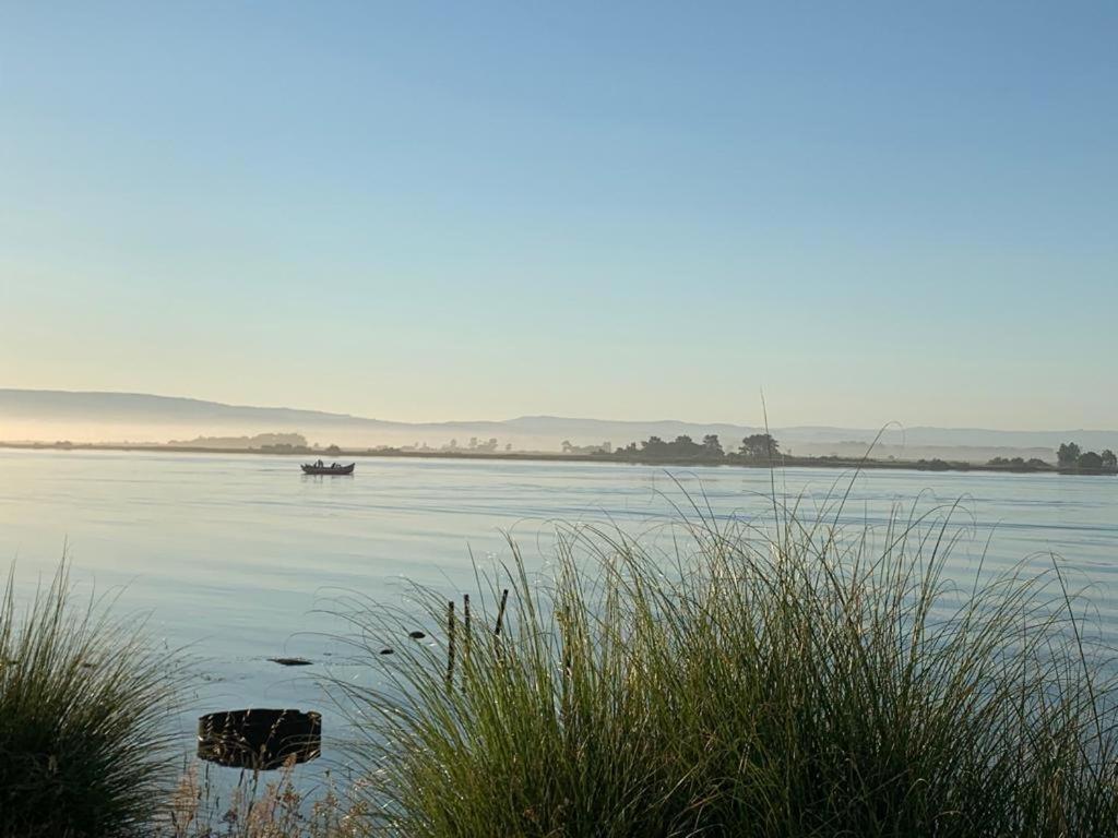 O Cantinho Entre A Ria E O Mar - With Hot Water Pool All Year Round ตอร์เฮย์รา ภายนอก รูปภาพ