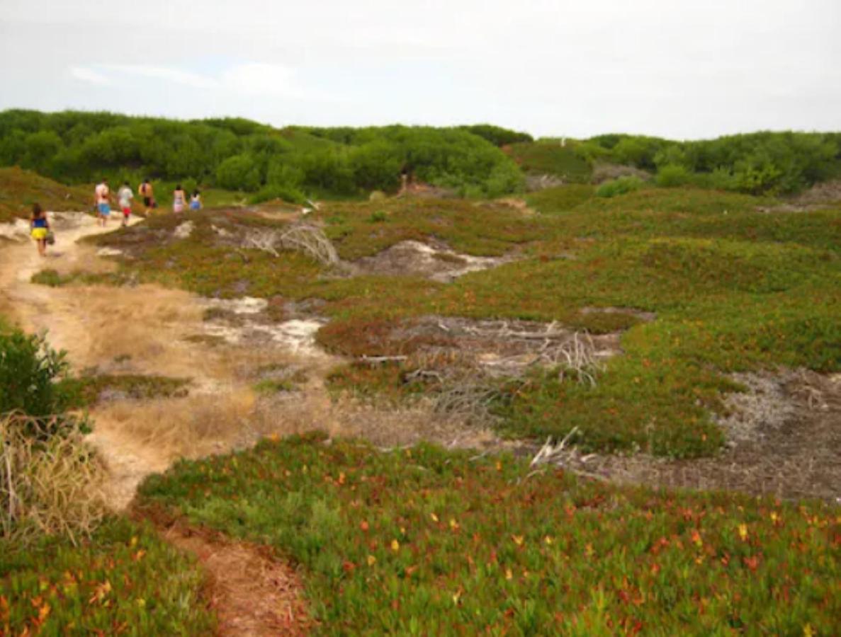 O Cantinho Entre A Ria E O Mar - With Hot Water Pool All Year Round ตอร์เฮย์รา ภายนอก รูปภาพ